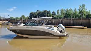 Crucero Cuddy 225