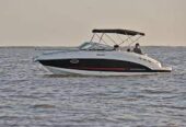 Crucero Cuddy 225
