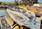 AVALON 240 OPEN + CUDDY VOLVO 280 HP – 0 HS